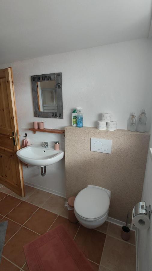 Appartment Im Seeblick Bodenwohr Zewnętrze zdjęcie